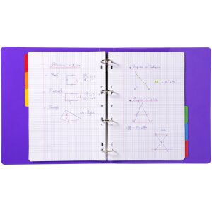 Exacompta 2306E Register DIN A4 6-teilig farbig 160 g/m² für Ordner