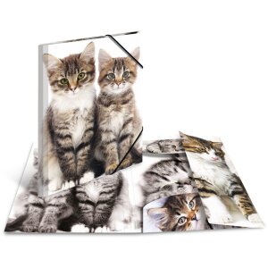 Poštový priečinok A3 s elastickou...