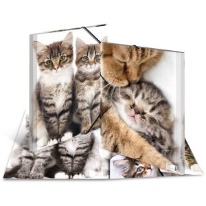 Poštový priečinok A3 s elastickou...