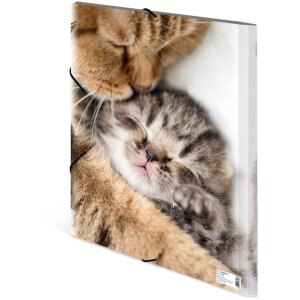 Poštový priečinok A3 s elastickou šnúrkou