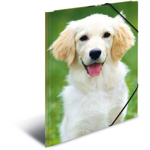 Poštový priečinok A3 s elastickým psom