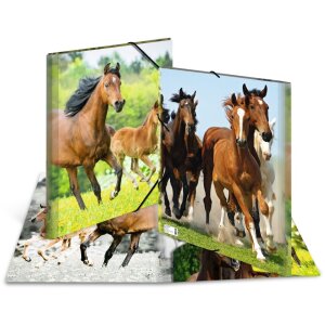 Poštový priečinok A3 s elastickou...