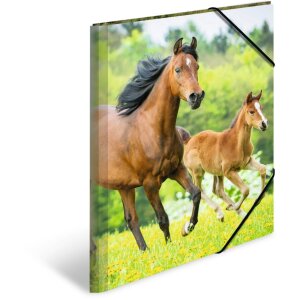 Poštový priečinok A3 s elastickou šnúrkou Kone