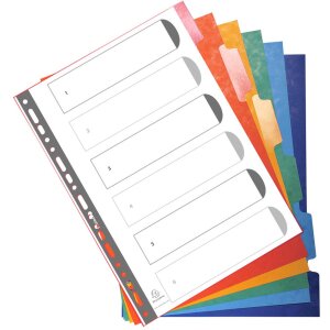 Exacompta 2206E Register DIN A4 mit 6 Taben Manila Karton...