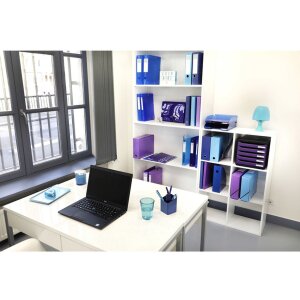 Exacompta Iderama Archivbox DIN A4 25x33 cm...