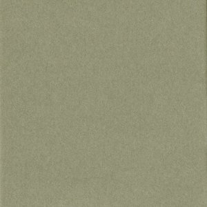 HNFD 12 rozdeľovacích kariet na fotografie 13x18 cm - Verda Tundra