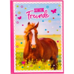 Goldbuch friends book A5 Pferdeliebe 15x21 cm 88...
