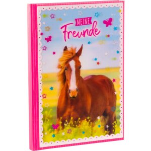 Goldbuch friends book A5 Pferdeliebe 15x21 cm 88 ilustrovaných strán