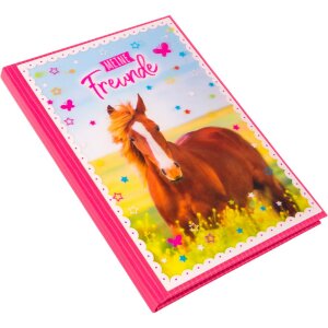 Goldbuch friends book A5 Pferdeliebe 15x21 cm 88 ilustrovaných strán