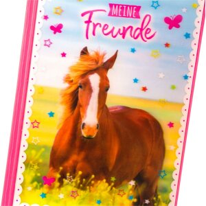 Goldbuch friends book A5 Pferdeliebe 15x21 cm 88 ilustrovaných strán