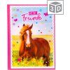 Goldbuch friends book A5 Pferdeliebe 15x21 cm 88 ilustrovaných strán