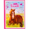 Goldbuch friends book A5 Pferdeliebe 15x21 cm 88 ilustrovaných strán