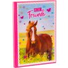 Goldbuch friends book A5 Pferdeliebe 15x21 cm 88 ilustrovaných strán