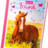 Goldbuch friends book A5 Pferdeliebe 15x21 cm 88 ilustrovaných strán