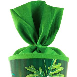 Goldbuch školský kužeľ 70 cm T-Rex