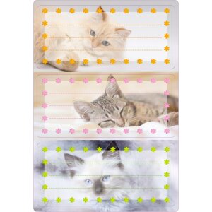 Školské štítky mačky,...