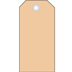 Štítky 35x60 mm s plastovým očkom...