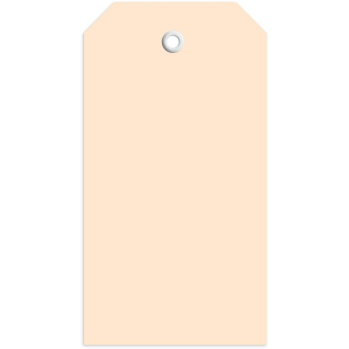 Štítky 60x113 mm s plastovým očkom 1000 ks.
