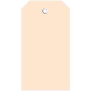 Štítky 60x113 mm s plastovým očkom...