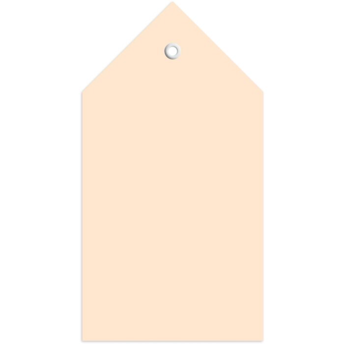 Štítky 80x150 mm s plastovým očkom ohnuté rohy 250 ks.