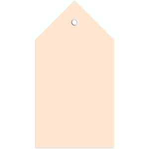 Štítky 80x150 mm s plastovým očkom...