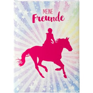 Goldbuch friends book A5 horse friend art print cover...