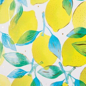 Goldbuch diár Citrus 16,5x16,5 cm 96 bielych strán