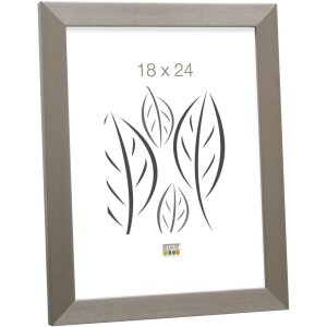 Deknudt plastový rám S41VD1 strieborný 20x30 cm antireflexné sklo