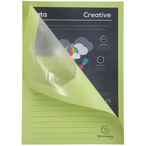 Exacompta balenie 100 zakladačov s okienkom 22x31 cm DIN A4 bez plastu 160g svetlozelená