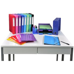 Exacompta transfer box kartón 90mm 25x33cm pre DIN A4 Iderama červená