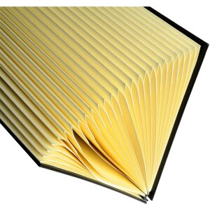 Exacompta organizér priečinok s pružným plisovaným chrbtom 26 priečinkov A-Z DIN A4 čierny