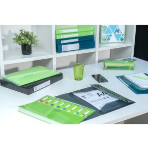 Exacompa organizér s pružným chrbtom 8 priehradiek DIN A4 Iderama assorted