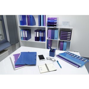Exacompa organizér s pružným chrbtom 8 priehradiek DIN A4 Iderama assorted