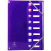 Exacompa organizér s pružným chrbtom 8 priehradiek DIN A4 Iderama assorted
