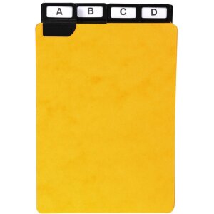 Exacompta 13748E Rozdeľovače s okennými...