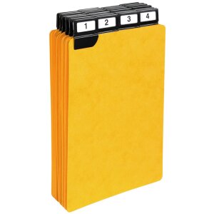 Exacompta 13748E Rozdeľovače s okennými záložkami 210x148mm čierne 25 balení