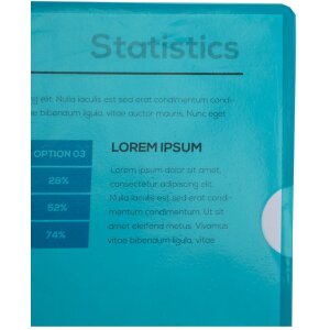 Exacompta balenie 100 zakladačov, hladké, silné PVC 130µ DIN A4 zelené