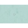 Exacompta 55533E Zakladač Aquarel A4, pastelovo zelená farba, drevotrieska 400g/m²