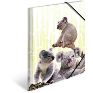 Zakladač HERMA A4 PP - rodina Koala