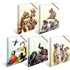 Zakladač HERMA A4 PP - rodina Koala
