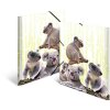 Zakladač HERMA A4 PP - rodina Koala