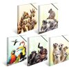 Zakladač HERMA A4 PP - rodina Koala