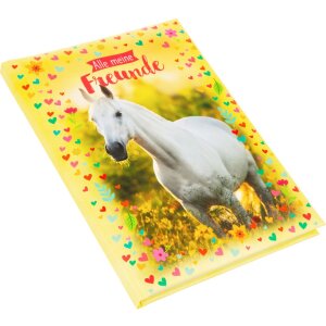 Goldbuch friends kniha Chiara 15x21 cm 88...