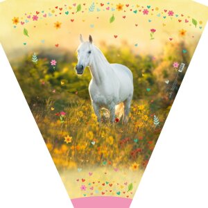 Goldbuch školský kužeľ Chiara 70 cm