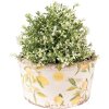 Clayre & Eef 6CE1533L Dekorácia Kvetináč Ø 19x10 cm Žltá