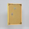 Efektný plastový rám Art yellow 25x80 cm číre sklo