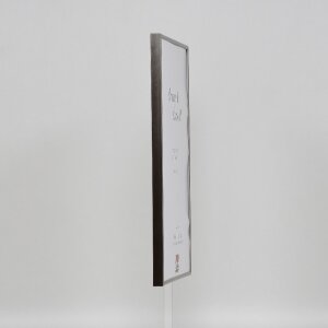 Efektný plastový rám Art platinum 25x80 cm číre sklo