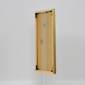 Efektný plastový rám Art gold 50x100 cm číre sklo