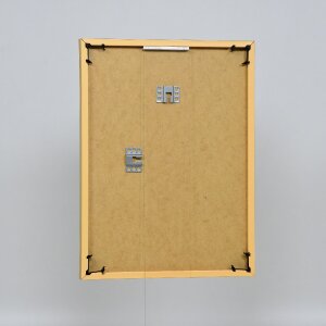Efektný plastový rám Art gold 50x100 cm číre sklo