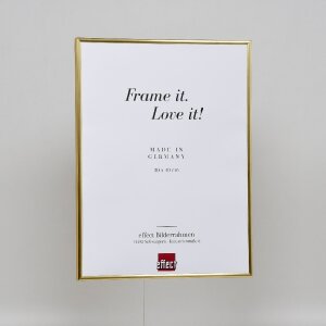Efektný plastový rám Art gold 50x100 cm číre sklo